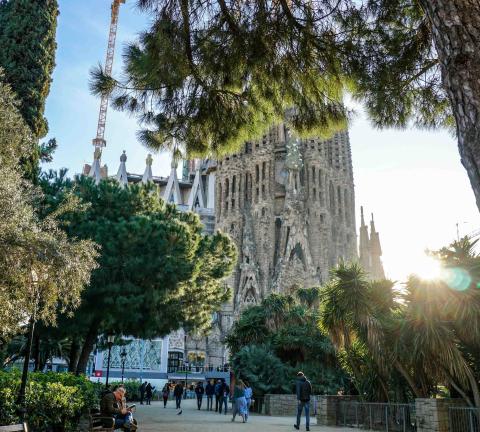 BCN