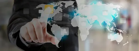 International Business STEM