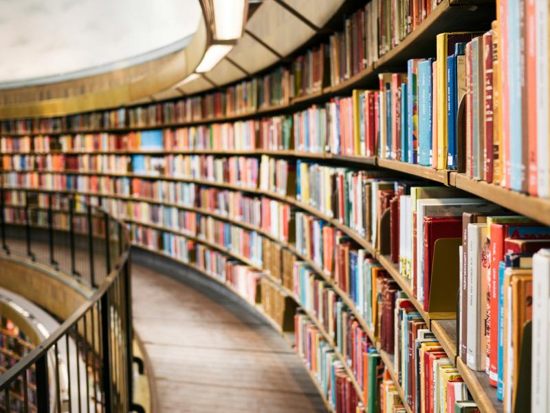 libros en estantes Sant Jordi Barcelona