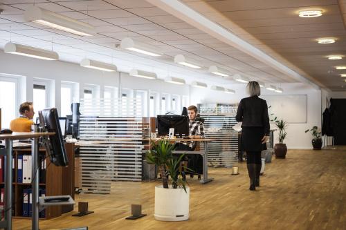 Consumo colaborativo: la nueva forma de compartir recursos