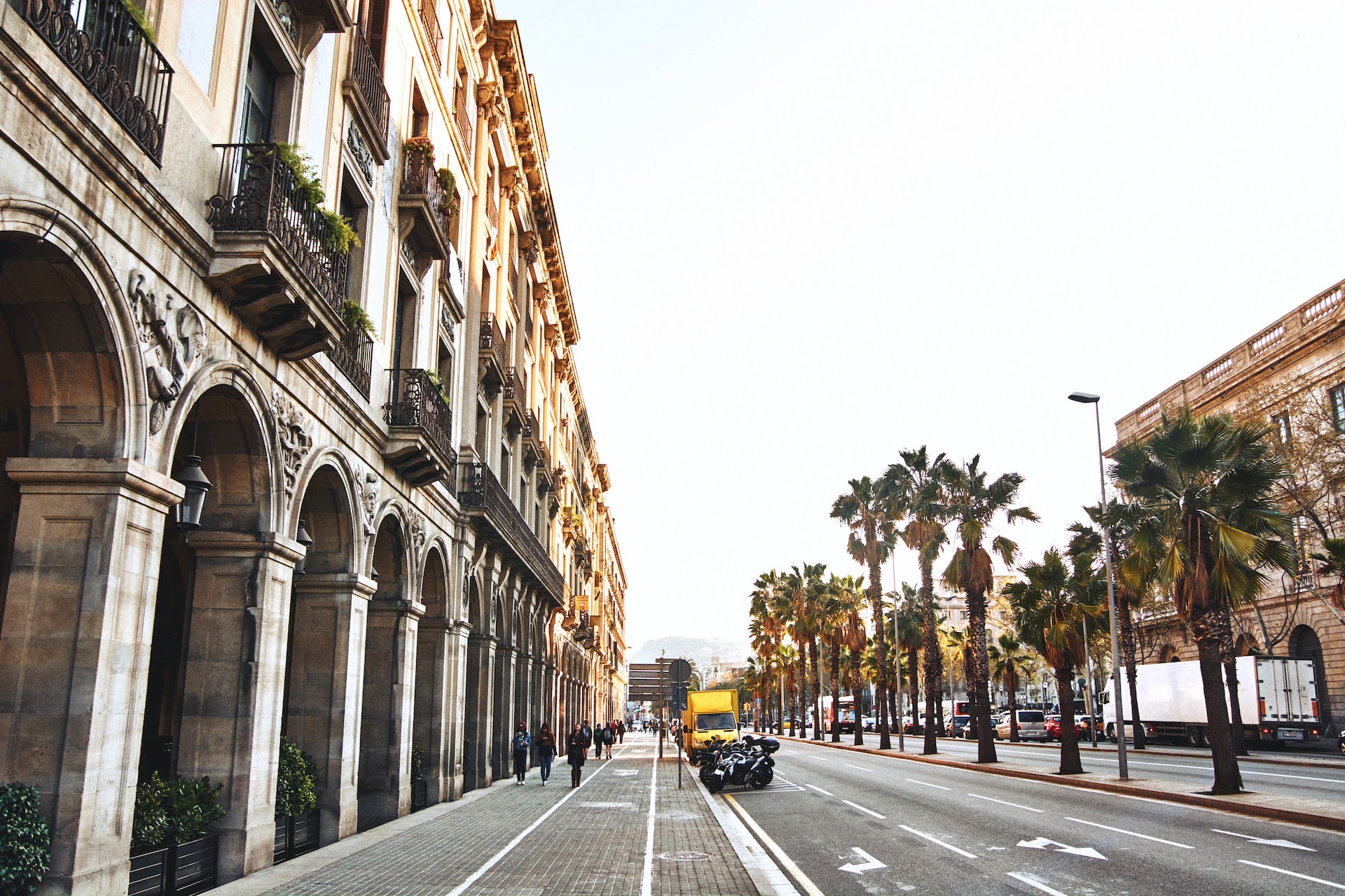 bcn444