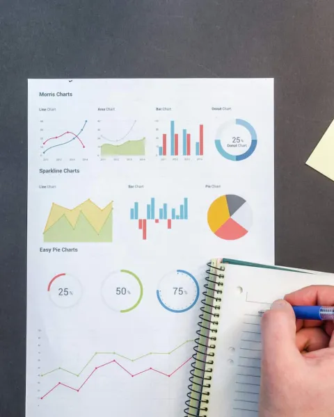 Project management