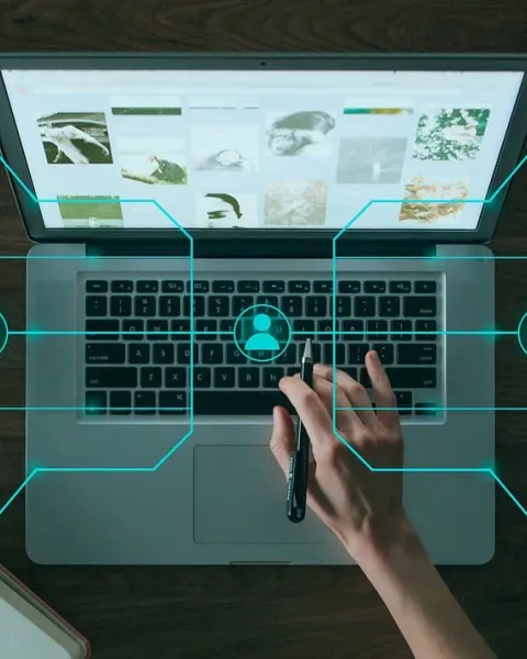 ¿Cómo crear un ecosistema digital en las empresas?