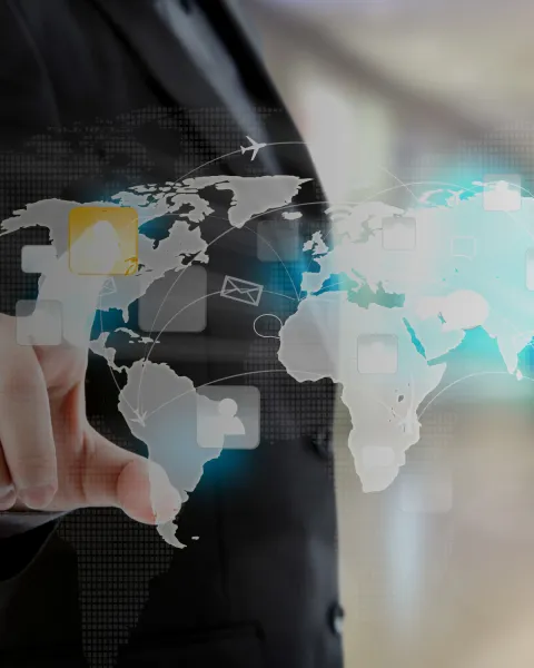 International Business STEM