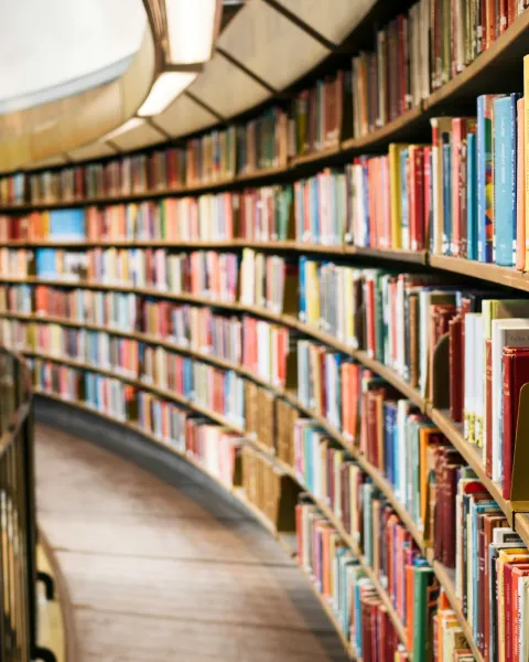 libros en estantes Sant Jordi Barcelona