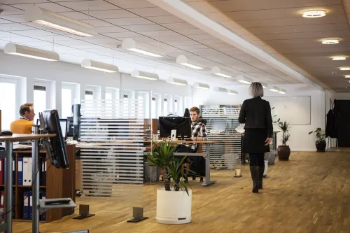 Consumo colaborativo: la nueva forma de compartir recursos